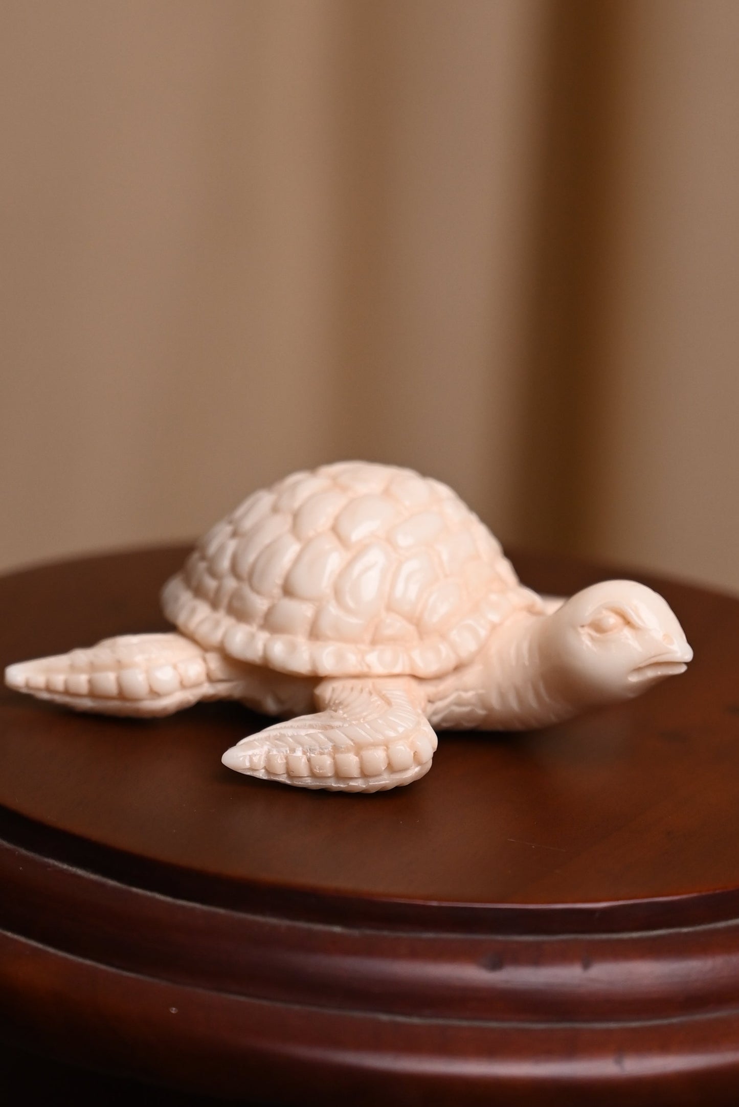 Handcarved Turtle
